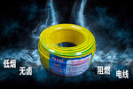 BYJ低煙無鹵電線