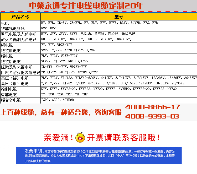 國標10對大對數(shù)電纜 通信電纜 HYA 10*2*0.5全銅電話電纜