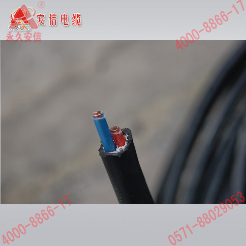 國標YJV 2×6銅芯交聯(lián)聚氯乙烯絕緣電力電纜